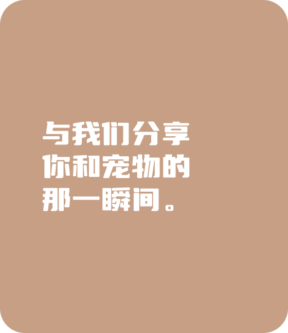 jiuyou.com(中国区)宠物，无处不在